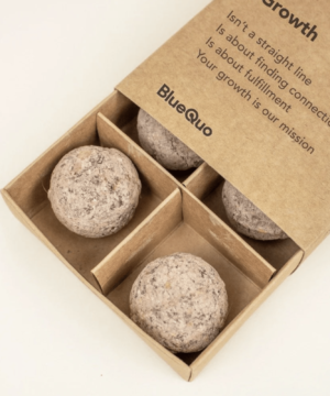 Plantable Seed Bomb Box